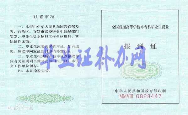 廣東省報到證補辦流程來啦！