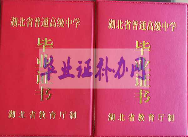 1996年湖北省中專畢業(yè)證樣本圖片模板